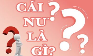 Cái nư là gì?